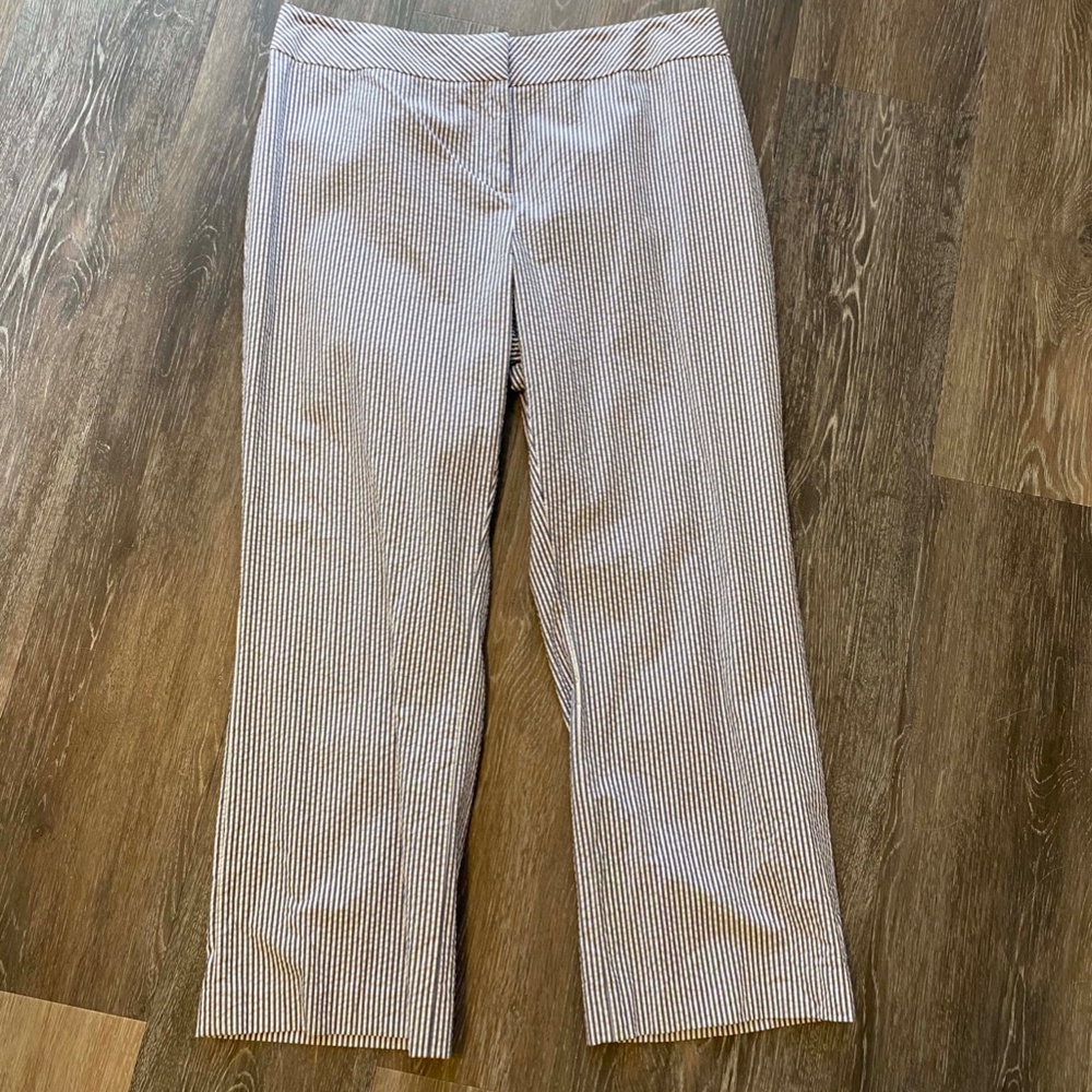 Ann Taylor Navy & White Seersucker Ankle Pants